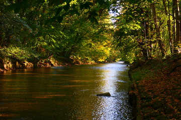 Obraz premium Die Pitten, Fluss in Niederösterreich