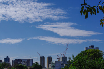 Fototapeta premium あおぞらと雲のある都市風景