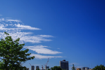 Fototapeta premium あおぞらと雲のある都市風景