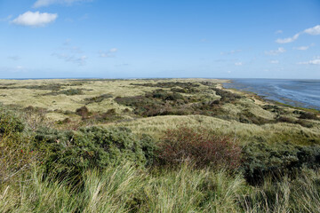 Fototapeta na wymiar View over the northern end of Ameland island, the Netherlands. Dunes and grass landscape next to the northern sea. Sunny day over a dutch island. Perfect weather autumn landscape scene. 