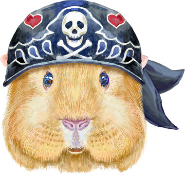 Guinea pig with bandana. Pig for T-shirt graphics. Watercolor Self guinea pig illustration