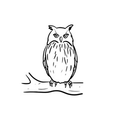 Vector illustration. An owl sitting on a tree branch.