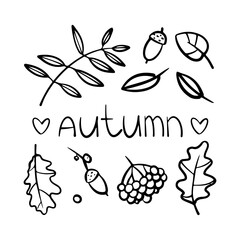 Autumn vector composition with leaves.