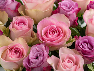 Rose flower bouquet on white background close up