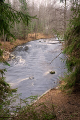 River in the autumn forest. Autumn forest river flowing. Forest river in autumn. Forest river water. High quality photo