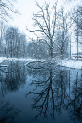 Beautiful landscape of forest river in winter frosty day. High quality photo