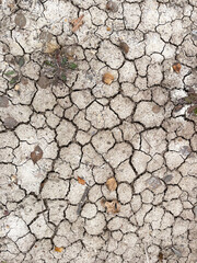 Background, cracked earth in autumn