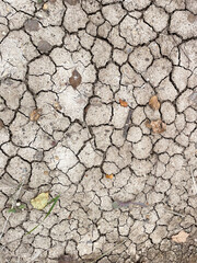 Background, cracked earth in autumn