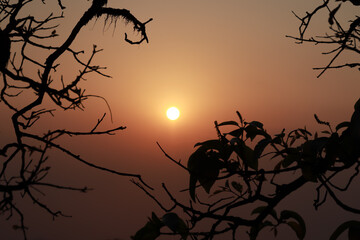 tree branches in foreground with colorful sunset in background