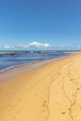 natural landscape in the district of Trancoso in the city of Porto Seguro, State of Bahia, Brazil