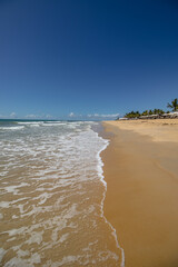 natural landscape in the district of Trancoso in the city of Porto Seguro, State of Bahia, Brazil