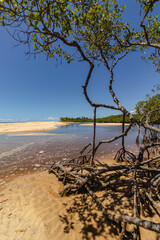 natural landscape in the district of Trancoso in the city of Porto Seguro, State of Bahia, Brazil