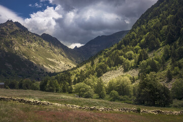Fototapeta na wymiar Landscape Panoramic View of Vall d'Incles, Andorra