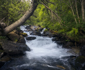 Fototapeta premium Waterfall at La Vall de Sorteny Naturtal Park, Andorra