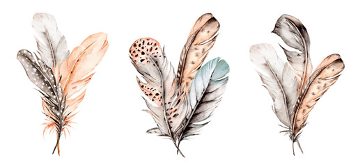 Bird feather set, watercolor boho illustration. Hand drawn. Suitable for poster design, print, sublimation.	