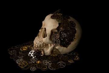 Skull and cogs home made skull with cogs and gears for a brain dramatic day of dead horror...