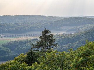 Fototapeta premium Landscape at sunset in Germany