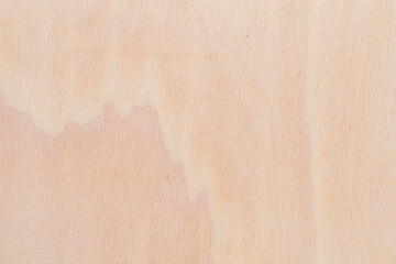 Light rough textured cut surface of an African tree. Wood background or blank for design