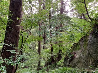 Naklejka premium 山寺の石段