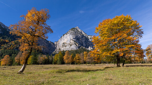Berg spitzt durch B&auml;ume im Herbst