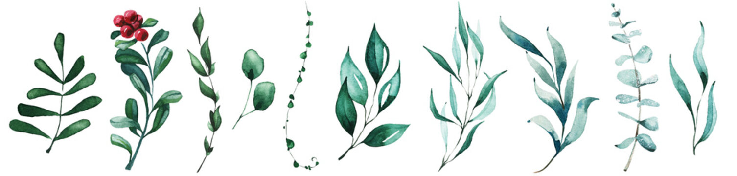 Watercolor Christmas Set Of Winter Greenery Twigs. Green And Blue Textures. Cut Out Hand Drawn PNG Illustration On Transparent Background. Watercolour Clipart Drawing.