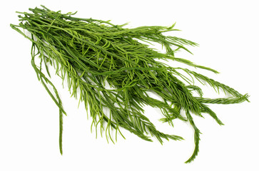 Asian Horsetail - Chaom Acacia isolated on white Background