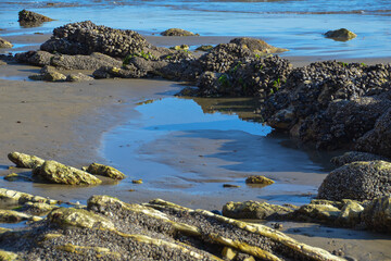Rocks at Arroyo Burro Beach, Santa Barbara County