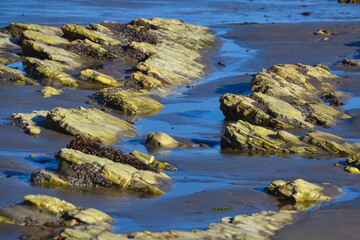 Rocks at Arroyo Burro Beach, Santa Barbara County