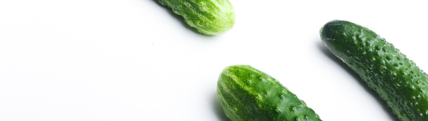 green grass isolated on white background