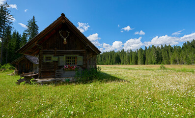 Fototapeta na wymiar Wooden house in peaceful Slovenian countryside