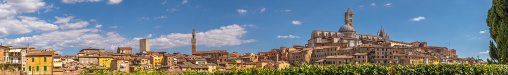 Fototapeta premium Panorama sur la Torre del Mangia et le Duomo di Santa Maria Assunta, à Sienne, Italie, depuis la Basilica di San Domenico