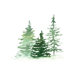Watercolor fir trees on white background. Wild forest travel scetch. Hand drawn natural element. Landscape template for Christmas design