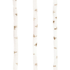 Watercolor sketch set with birch trunk on white background. Natural forest template. Vintage botanical art. Hand drawn illustration. Wood texture.