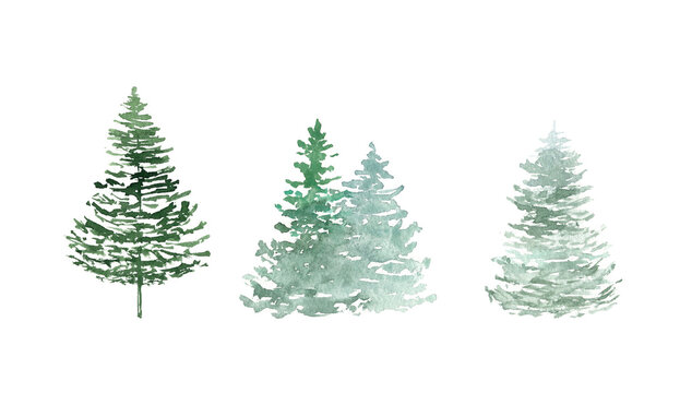Watercolor fir trees clipart set isolated on white background. Wild forest travel scetch. Hand drawn natural element. Landscape template for Christmas design