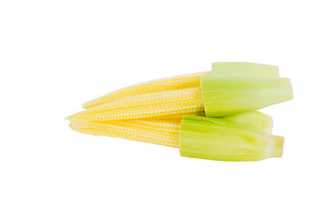 Baby corn on background. PNG file with transparent background.