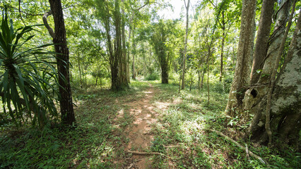 Fototapeta premium Wat Phrathat Phu Phek, the temple is near Sakon Nakhon in northeast Thailand isaan.