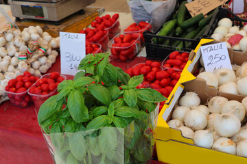 typical Italian products with the colors of the GREEN flag basil WHITE onion and RED tomato