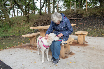 Senior woman with golden retriever dog resting at a wooden table outdoors on a dog walk