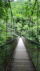Puente colgante Fragas do eume