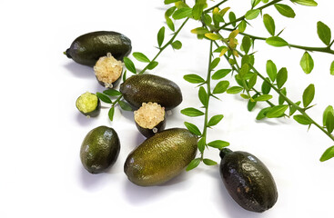Australian finger lime or caviar lime, Citrus australasica. Ripe edible fruits. Whole limes on thorny branch and cut with vesicles partially extracted. Objects on a white background