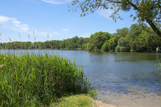 View at the little Stienitz lake (Stienitzsee), Hennickendorf, federal state of Brandenburg - Germany