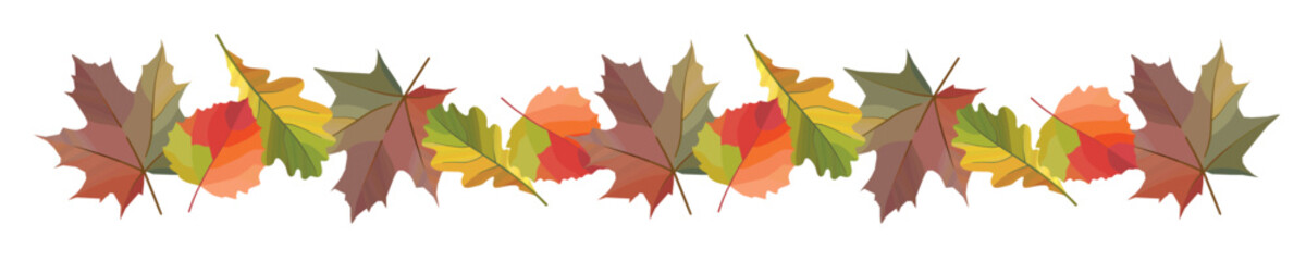 Border of autumn leaves. Seamless autumn pattern. Vector image.
