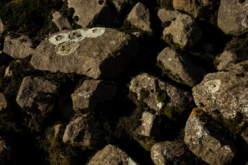 Black stones on the shore
