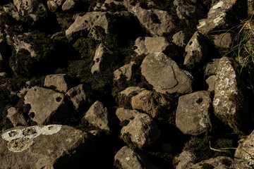 Black stones on the shore