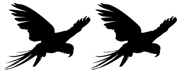 Flying Pair of the Macaw Bird Silhouette for Logo, Pictogram, Art Illustration, Website or Graphic Design Element. Format PNG