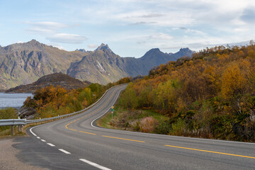 The curves of a road on the Lofoten Islands in Norway