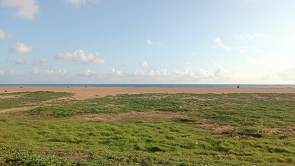 Obraz premium Kerala Beach