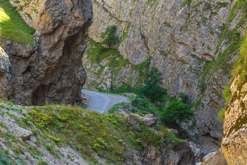 Narrow asphalt road in the gorge