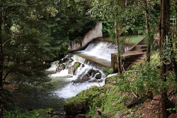 Station hydraulique au milieu de la forêt