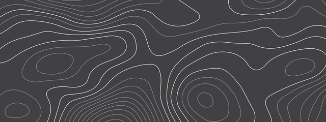 Black and white wave abstract topographic map contour, lines Pattern background. Topographic map and landscape terrain texture grid. Wavy banner and color geometric form. Vector illustration.